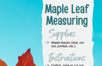Maple Leaf Measuring