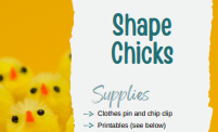 Shape Chicks